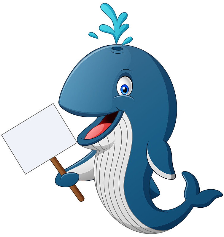 鲸鱼体育苹果版下载_(鲸鱼体育app官网入口)