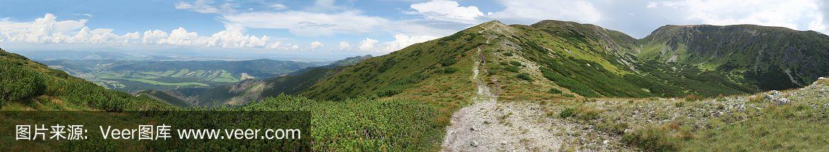 罗哈斯_(利奥罗哈斯) 第2张 罗哈斯_(利奥罗哈斯) 第2张