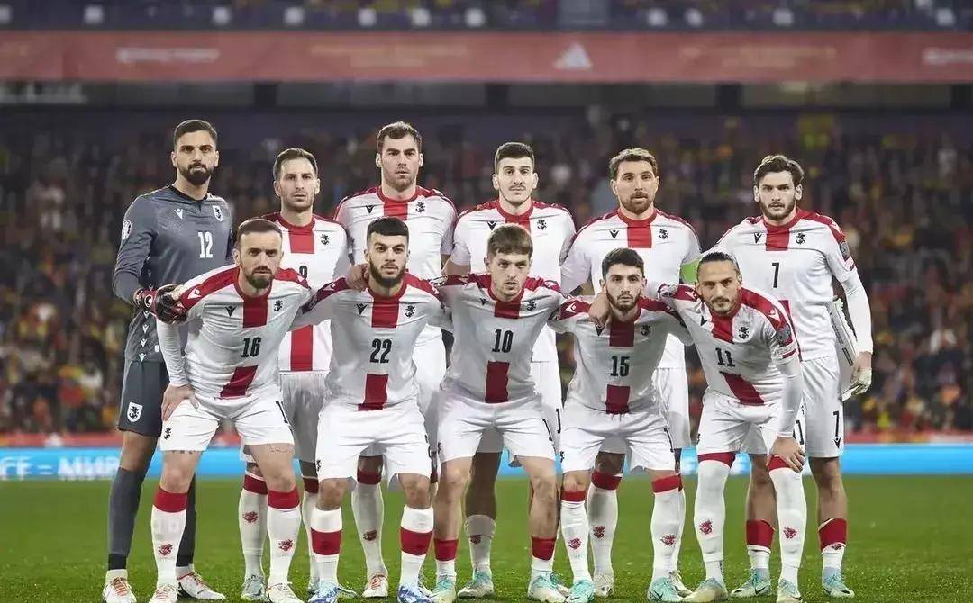 捷克国家队_(捷克国家队阵容)  第2张