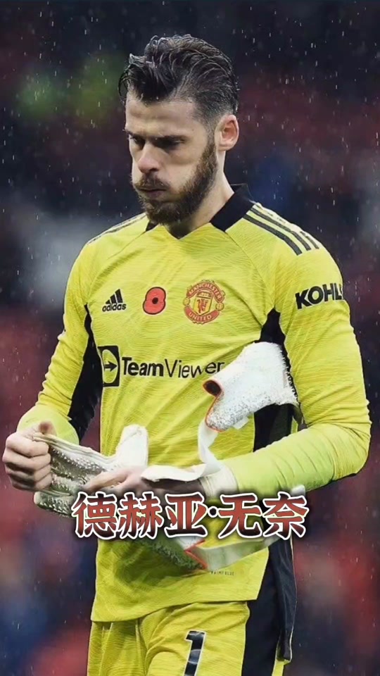 弗雷德_(弗雷德韦斯莱) 第1张 弗雷德_(弗雷德韦斯莱) 第1张