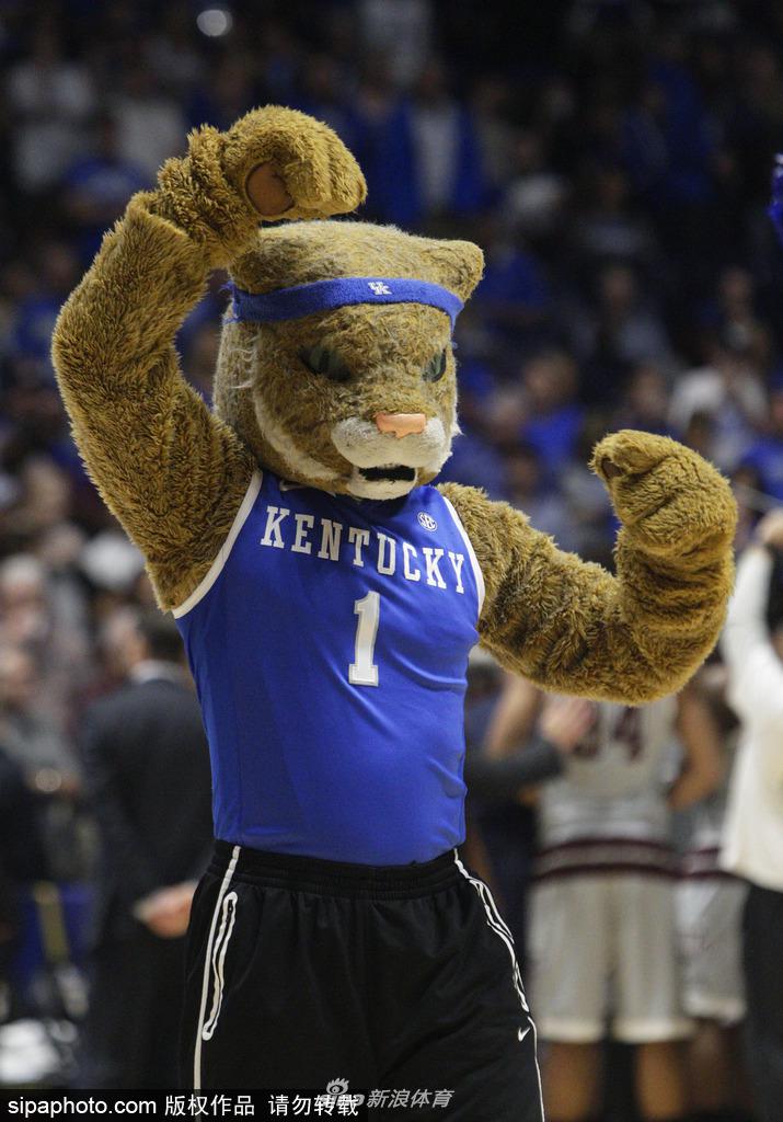 包含NCAA:威廉玛丽大学VS瑞金大学的词条