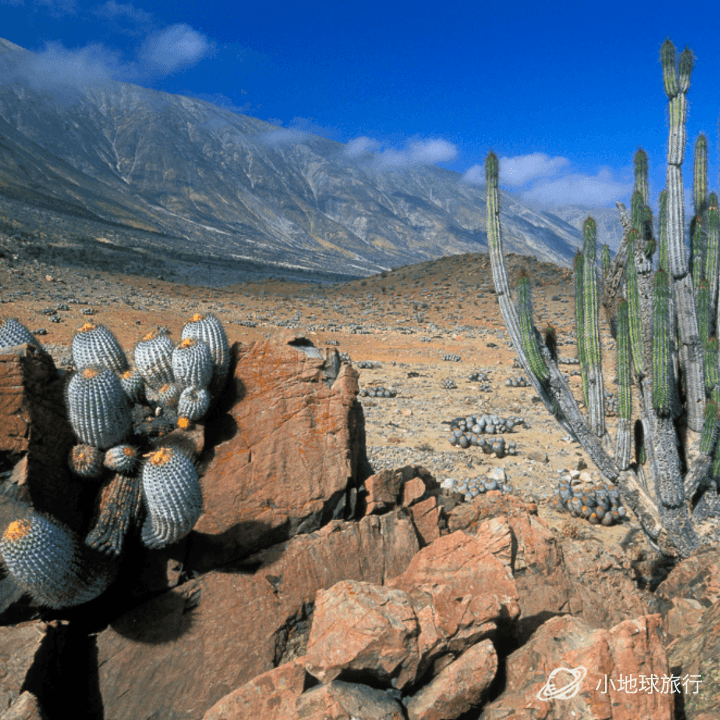 关于智利乙：安图法加斯塔VS迪康塞普森的信息  第2张