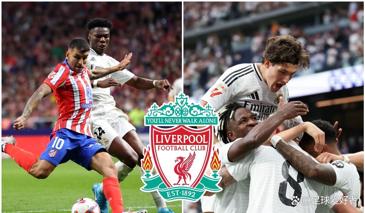 关于曝利物浦无意签约约克雷斯并非是优先目标的信息 第1张 关于曝利物浦无意签约约克雷斯并非是优先目标的信息 第1张