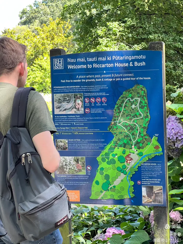 关于新西兰超：惠灵顿奥林匹克VS基督城联的信息  第1张