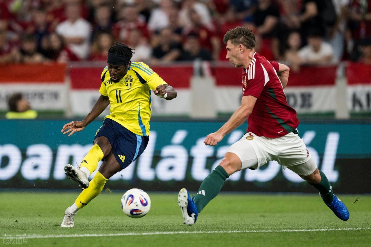 诺丁汉森林将签下雷恩前锋卡里姆恩多转会费3000万欧的简单介绍  第1张