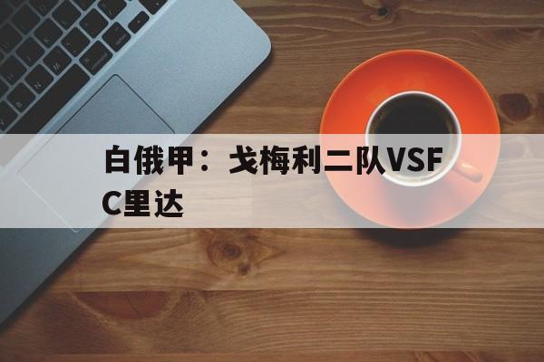 包含白俄甲：戈梅利二队VSFC里达的词条