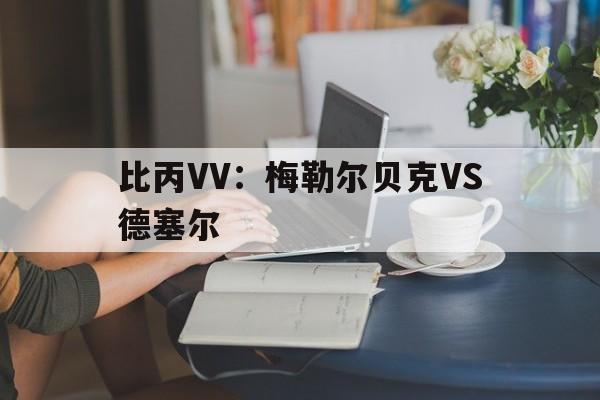 比丙VV:梅勒尔贝克VS德塞尔 第1张 比丙VV:梅勒尔贝克VS德塞尔 第1张